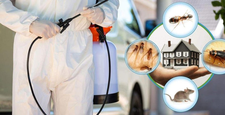 Germiyan Böcek İlaçlama