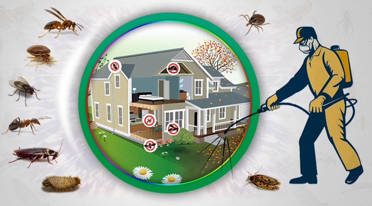 Germiyan Böcek İlaçlama