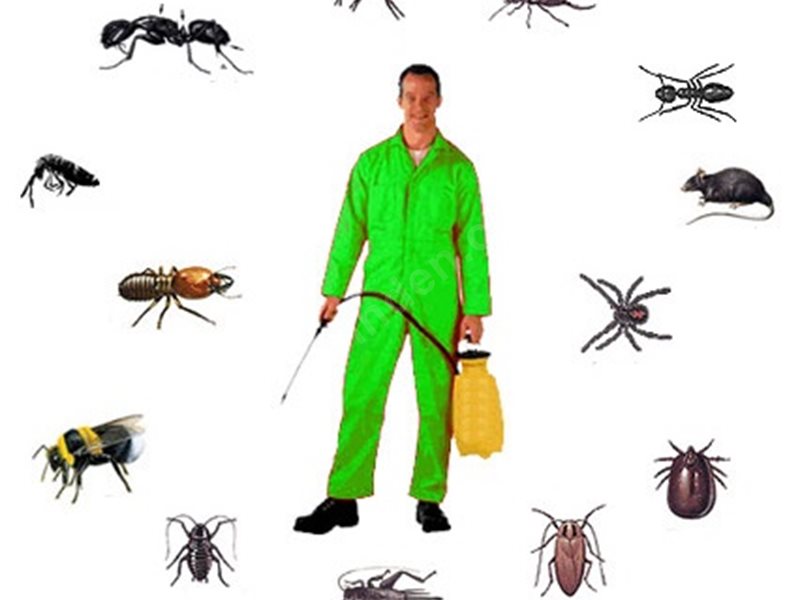 Germiyan Böcek İlaçlama